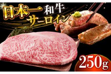 【A4～A5】長崎和牛サーロインステーキ　250g（250g×1枚）【株式会社 MEAT PLUS】 [DBS013]長崎和牛 和牛 国産 牛肉  長崎和牛 サーロイン ステーキ 250g 1万円 以上