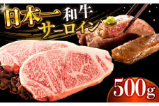 【A4～A5】長崎和牛サーロインステーキセット　500g（250g×2枚）【株式会社 MEAT PLUS】 [DBS014]長崎和牛 和牛 国産 牛肉  長崎和牛 サーロイン ステーキ セット 500g 250g 2枚 15000円 以上