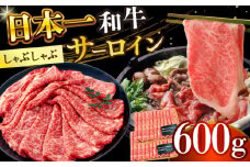 【厳選部位】【A4～A5】長崎和牛サーロインしゃぶしゃぶすき焼き用　600g（300g×2p）【株式会社 MEAT PLUS】 [DBS018]長崎和牛 和牛 国産 牛肉  サーロイン しゃぶしゃぶ すき焼き 600g 300g 2パック 15000円 以上