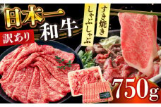 【訳あり】【A4～A5】長崎和牛しゃぶしゃぶすき焼き750gセット【株式会社 MEAT PLUS】 [DBS020] すき焼き用牛肉 しゃぶしゃぶ用牛肉 すき焼き しゃぶしゃぶ 牛丼 A5 A4 希少 国産和牛 牛肉 肉 牛 1万円以上