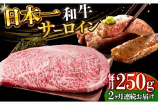【全2回定期便】【A4～A5】長崎和牛サーロインステーキ　250g（250g×1枚）【株式会社 MEAT PLUS】 [DBS081]長崎和牛 和牛 国産 牛肉  長崎和牛 サーロイン ステーキ　250g 250g 1枚2回定期便 定期便 2回 20000円 2万円 以上