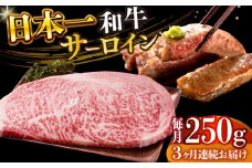 サーロインステーキ 【全3回定期便】【A4～A5】長崎和牛サーロインステーキ　250g（250g×1枚）【株式会社 MEAT PLUS】 [DBS082]長崎和牛 和牛 国産 牛肉  長崎和牛 サーロイン ステーキ　250g 250g 1枚3回定期便 定期便 3回 30000円 3万円 以上