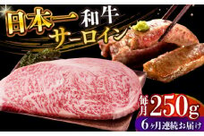 【全6回定期便】【A4～A5】長崎和牛サーロインステーキ　250g（250g×1枚）【株式会社 MEAT PLUS】 [DBS083]長崎和牛 和牛 国産 牛肉  長崎和牛 サーロイン ステーキ　250g 250g 1枚6回定期便 定期便 6回 6万円 60000円 以上