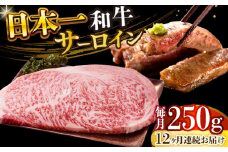 【全12回定期便】【A4～A5】長崎和牛サーロインステーキ　250g（250g×1枚）【株式会社 MEAT PLUS】 [DBS084]長崎和牛 和牛 国産 牛肉  長崎和牛 サーロイン ステーキ　250g 250g 1枚12回定期便 定期便 12回
