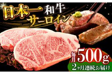 【全2回定期便】【A4～A5】長崎和牛サーロインステーキセット　500g（250g×2枚）【株式会社 MEAT PLUS】 [DBS085]長崎和牛 和牛 国産 牛肉  長崎和牛 サーロイン ステーキ セット 500g 250g 2枚2回定期便 定期便 2回