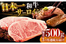 【全3回定期便】【A4～A5】長崎和牛サーロインステーキセット　500g（250g×2枚）【株式会社 MEAT PLUS】 [DBS086]長崎和牛 和牛 国産 牛肉  長崎和牛 サーロイン ステーキ セット 500g 250g 2枚3回定期便 定期便 3回