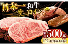 【全12回定期便】【A4～A5】長崎和牛サーロインステーキセット　500g（250g×2枚）【株式会社 MEAT PLUS】 [DBS088]長崎和牛 和牛 国産 牛肉  長崎和牛 サーロイン ステーキ セット 500g 250g 2枚12回定期便 定期便 12回