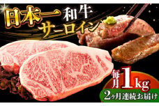 【全2回定期便】【A4～A5】長崎和牛サーロインステーキセット　1kg（250g×4枚）【株式会社 MEAT PLUS】 [DBS089]長崎和牛 和牛 国産 牛肉  長崎和牛 サーロイン ステーキ セット 1kg 250g 4枚2回定期便 定期便 2回 6万円 60000円 以上
