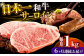 長崎和牛 和牛 国産 牛肉 