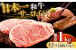長崎和牛 和牛 国産 牛肉 