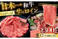 長崎和牛 和牛 国産 牛肉 