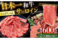 【全2回定期便】【厳選部位】【A4～A5】長崎和牛サーロインしゃぶしゃぶすき焼き用　600g（300g×2p）【株式会社 MEAT PLUS】 [DBS101]長崎和牛 和牛 国産 牛肉  サーロイン しゃぶしゃぶ すき焼き 600g 300g 2パック2回定期便 定期便 2回