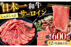 【全12回定期便】【厳選部位】【A4～A5】長崎和牛サーロインしゃぶしゃぶすき焼き用　600g（300g×2p）【株式会社 MEAT PLUS】 [DBS104]長崎和牛 和牛 国産 牛肉  サーロイン しゃぶしゃぶ すき焼き 600g 300g 2パック12回定期便 定期便 12回