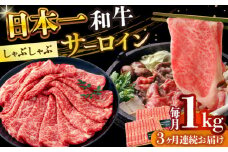 【全3回定期便】【厳選部位】【A4～A5】長崎和牛サーロインしゃぶしゃぶすき焼き用　1kg（500g×2p）【株式会社 MEAT PLUS】 [DBS106]長崎和牛 和牛 国産 牛肉  サーロイン しゃぶしゃぶ すき焼き 1kg 500g 2パック3回定期便 定期便 3回