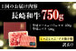 長崎和牛 和牛 国産 牛肉