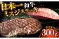 長崎和牛 和牛 国産 牛肉