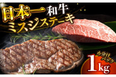 【厳選希少部位】【A4～A5】長崎和牛ミスジステーキ　約1kg（100g×10p）【株式会社 MEAT PLUS】 [DBS031]長崎和牛 和牛 国産 牛肉  長崎和牛 ミスジ ステーキ みすじ ミスジステーキ 1kg 100g 10パック）