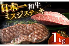 【厳選希少部位】【A4～A5】長崎和牛ミスジステーキ　約1kg（100g×10p）【株式会社 MEAT PLUS】 [DBS031]長崎和牛 和牛 国産 牛肉  長崎和牛 ミスジ ステーキ みすじ ミスジステーキ 1kg 100g 10パック）