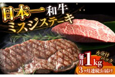 【全3回定期便】【厳選希少部位】【A4～A5】長崎和牛ミスジステーキ　約1kg（100g×10p）【株式会社 MEAT PLUS】 [DBS154]長崎和牛 和牛 国産 牛肉  長崎和牛 ミスジ ステーキ みすじ ミスジステーキ 1kg 100g 10パック）3回定期便 定期便 3回