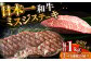 長崎和牛 和牛 国産 牛肉