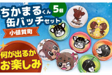 お楽しみちかまるくん缶バッジセット（ランダム5個入り） [DAB046] 6000円 以上