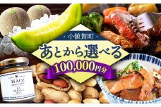 【あとから選べる】小値賀町ふるさとギフト 10万円分　長崎県 小値賀町 [DYZ009] 