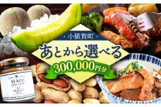 【あとから選べる】小値賀町ふるさとギフト 30万円分　長崎県 小値賀町 [DYZ012] 
