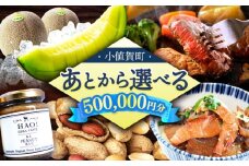 【あとから選べる】小値賀町ふるさとギフト 50万円分　長崎県 小値賀町 [DYZ014] 