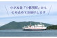 12回定期便 20万円分