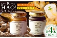【HAO！うまかセット】ピーナッツペースト＆ジンジャーシロップ 計4本（各2本）セット《小値賀町担い手公社》【小値賀町】濃厚 ピーナッツバター 落花生 生姜 スパイス 常温 [DAA050] 15000円 以上