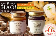 【HAO！うまかセット】ピーナッツペースト＆ジンジャーシロップ 計6本（各3本）セット《小値賀町担い手公社》【小値賀町】濃厚 ピーナッツバター 落花生 生姜 スパイス 常温 [DAA051]