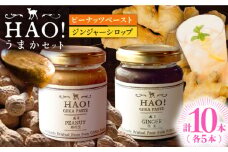 【HAO！うまかセット】ピーナッツペースト＆ジンジャーシロップ 計10本（各5本）セット《小値賀町担い手公社》【小値賀町】濃厚 ピーナッツバター 落花生 生姜 スパイス 常温 [DAA053]