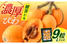 【先行予約】長崎県産 びわ Lサイズ 9粒（化粧箱入） / フルーツ びわ ビワ 枇杷  先行予約 初夏 贈答 びわ 【神川農園】[DBT004] 15000円 以上