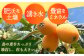 びわ 9粒 Lサイズ