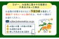 びわ 9粒 Lサイズ