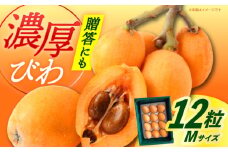 【先行予約】長崎県産 びわ Mサイズ 12粒（化粧箱入） / フルーツ びわ ビワ 枇杷  先行予約 初夏 贈答 びわ【神川農園】 [DBT005] 1万円 以上