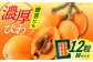 びわ 12粒 Mサイズ