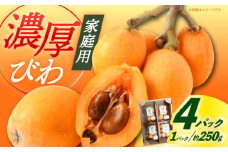 【先行予約】長崎県産 びわ 4パック（1パック：約250g） / フルーツ びわ ビワ 枇杷  先行予約 初夏 贈答 びわ 【神川農園】[DBT006]