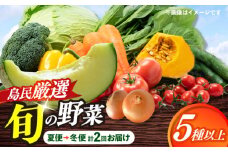 【先行受付】【夏季初回発送】小値賀島で育った新鮮野菜おまかせセット　夏季1回・冬季1回お届け [DAB080] 野菜 旬 5種