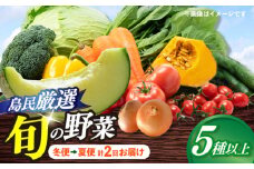 【8月〜10月先行受付】【冬季初回発送】小値賀島で育った新鮮野菜おまかせセット　冬季1回・夏季1回お届け [DAB081]