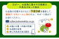 野菜 2回定期便