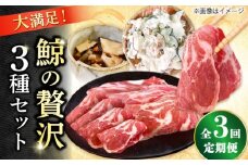 【3回定期便】　厳選！3種鯨定期便/ 煮しめ鯨120g×5パック 炙り用脂筋肉スライス（生）：400ｇ（200g×2パック）特上ゆかけ鯨（畝）：100g×3パック 小値賀町 /中島（鯨）商店 [DBM018]