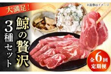 【6回定期便】　厳選！3種鯨定期便/ 煮しめ鯨120g×5パック 炙り用脂筋肉スライス（生）：400ｇ（200g×2パック）特上ゆかけ鯨（畝）：100g×3パック 小値賀町 /中島（鯨）商店 [DBM019]