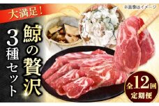 【12回定期便】　厳選！3種鯨定期便/ 煮しめ鯨120g×5パック 炙り用脂筋肉スライス（生）：400ｇ（200g×2パック）特上ゆかけ鯨（畝）：100g×3パック 小値賀町 /中島（鯨）商店 [DBM020]