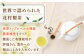 有機 ほうじ茶 入り 十宝草ティーバッグ 5袋 カフェイン ティーバッグ 有機栽培 ほうじ茶 ほうじ茶 ほうじ茶 ティーバッグ