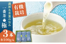 【1番茶の濃厚な旨味！】さざの 有機栽培茶 極 100g×3本【宝緑園】 [QAH005] お茶 有機栽培 お茶 佐々 長崎 お茶 お茶