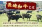 長崎和牛 牛すじ 牛肉 国産 牛すじ すじ 牛 生 牛スジ 牛スジ 長崎和牛 長崎 おでん カレー 煮込み 牛すじ 牛スジ