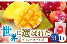 【先行予約】【心地よい至福の果肉感！】完熟プレミアム プリンセス マンゴー 3L×1玉 完熟マンゴー 高品質マンゴー まんごー 【堀内フルーツファーム】 [QAT006] プリンセス マンゴー ぷりんせすまんごー 完熟 マンゴー 高品質マンゴー まんごー 果物 フルーツ マンゴー