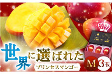 【先行予約】【心地よい至福の果肉感！】完熟プレミアム プリンセス マンゴー M×3玉 【堀内フルーツファーム】 [QAT008] プリンセス マンゴー ぷりんせすまんごー 完熟 マンゴー 高品質マンゴー まんごー 果物 フルーツ マンゴー