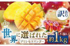 【訳ありマンゴー】完熟プレミアム プリンセス マンゴー 不揃い 約1kg 訳ありマンゴー 訳あり マンゴー ワケありマンゴー【堀内フルーツファーム】 [QAT009] 